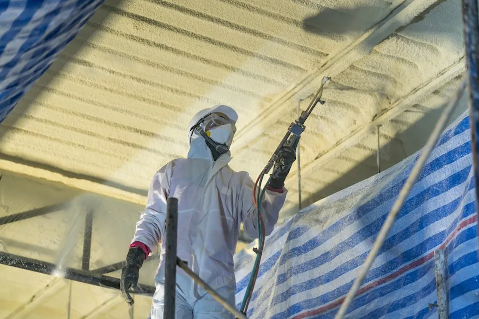 Insulation Removal project photo